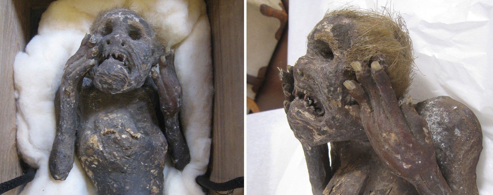 mummified mermaid