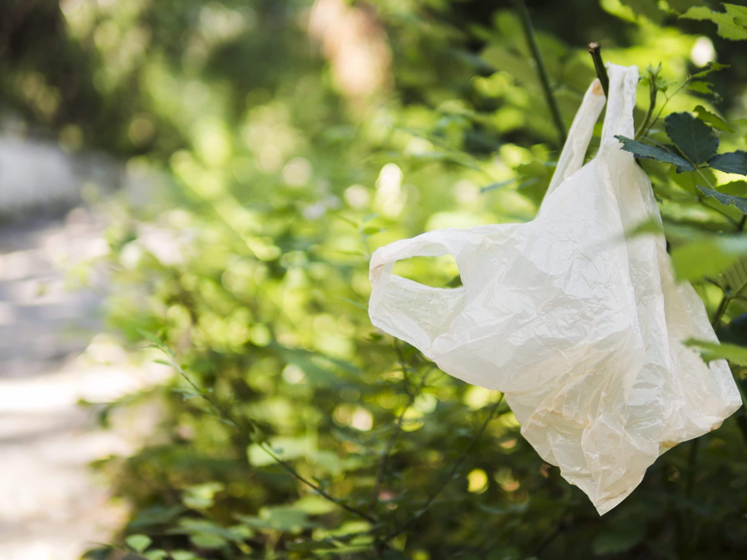 NSW set to ban singleuse plastic bags
