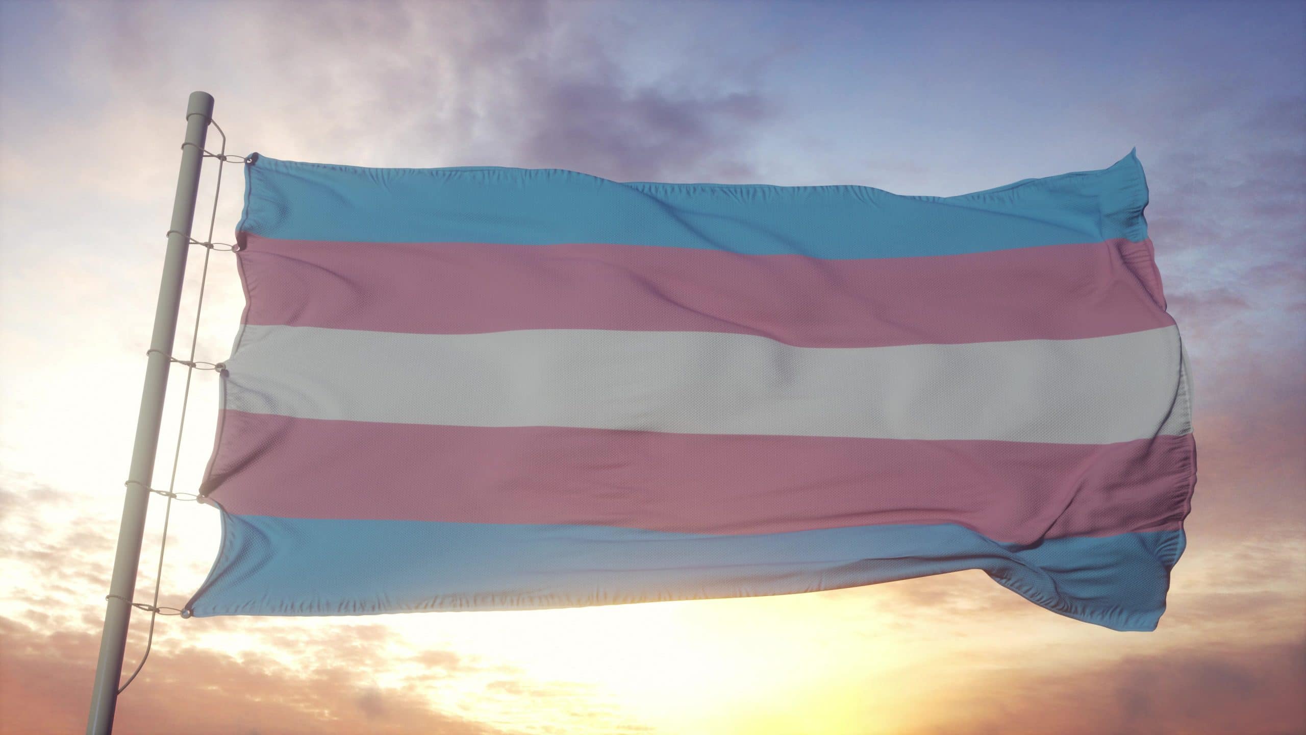 Transgender pride flag waving in the wind, sky and sun background.
