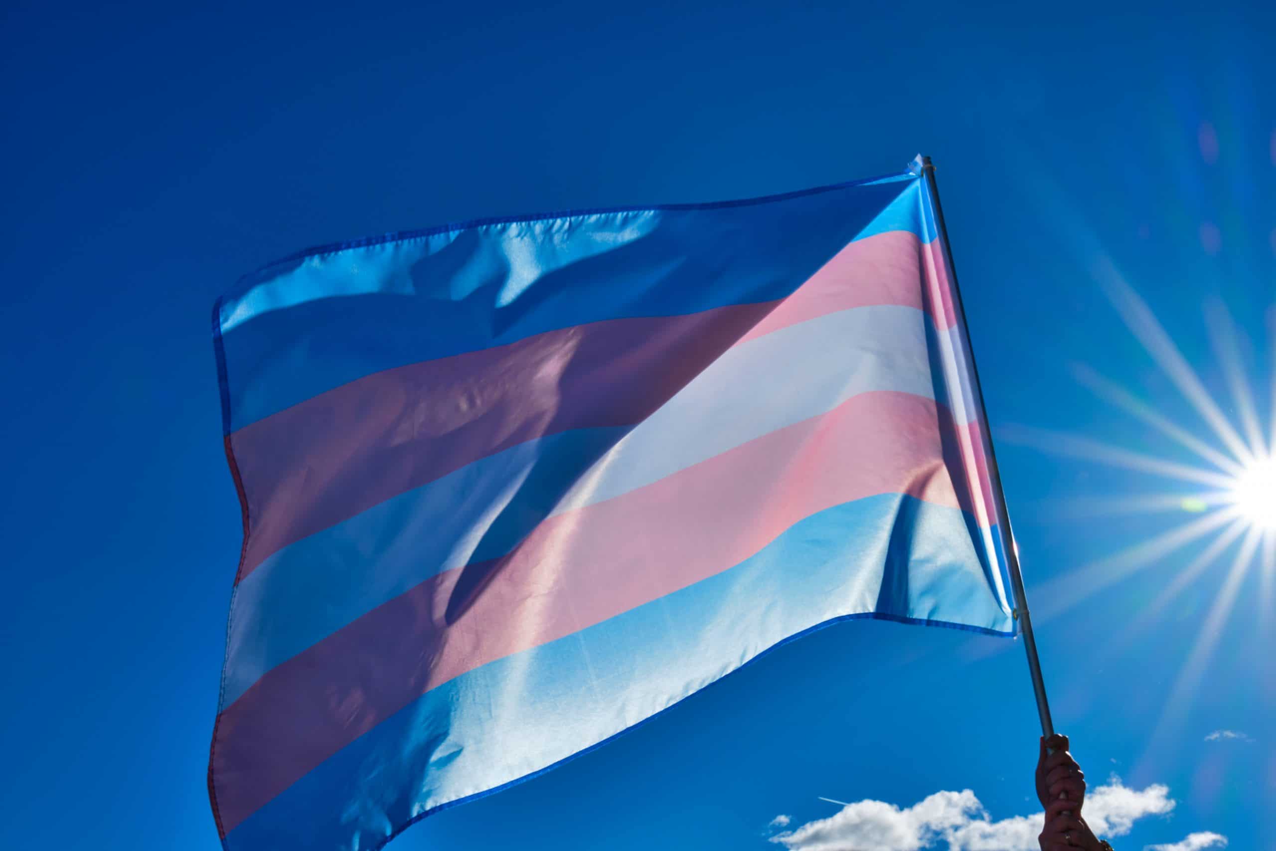 Transgender flag