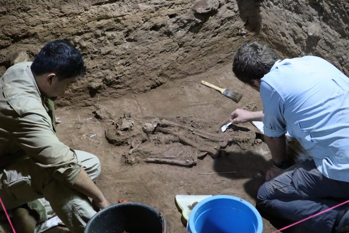 31,000 year old amputation