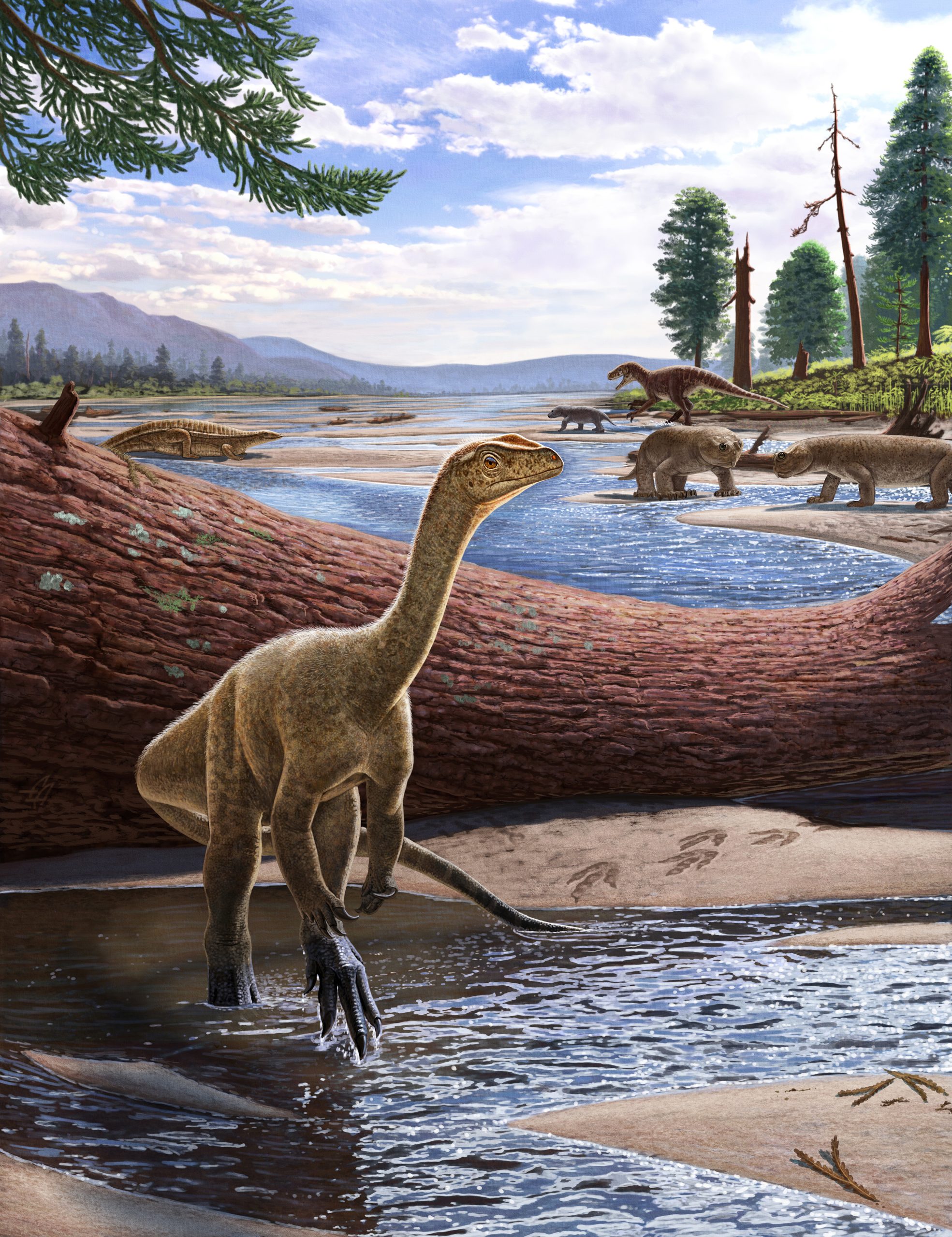 Oldest dinosaur found in Africa