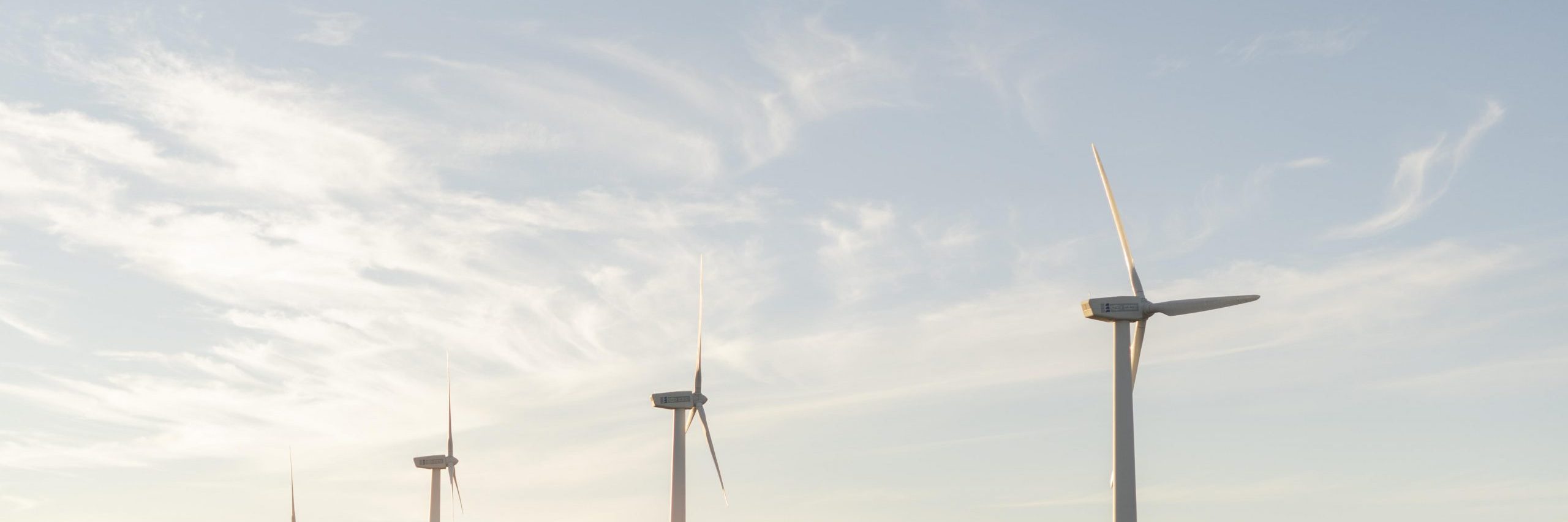 Australia's largest publicly owned wind farm planned for QLD