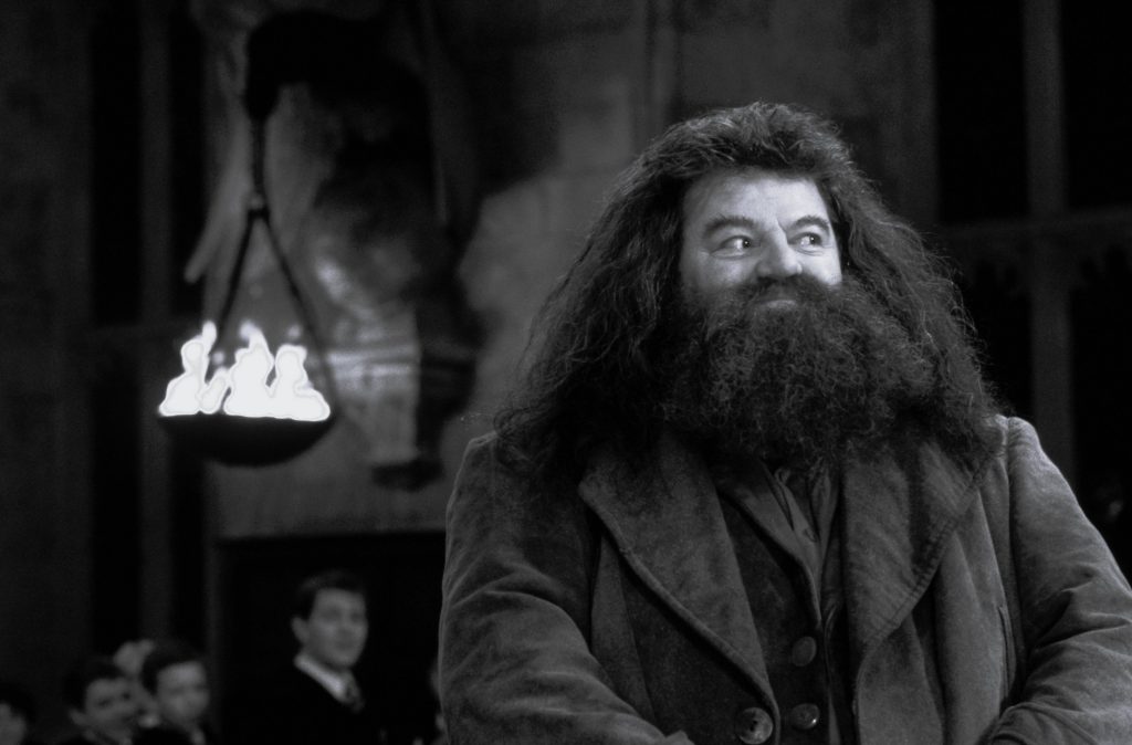 Rubeus Hagrid
