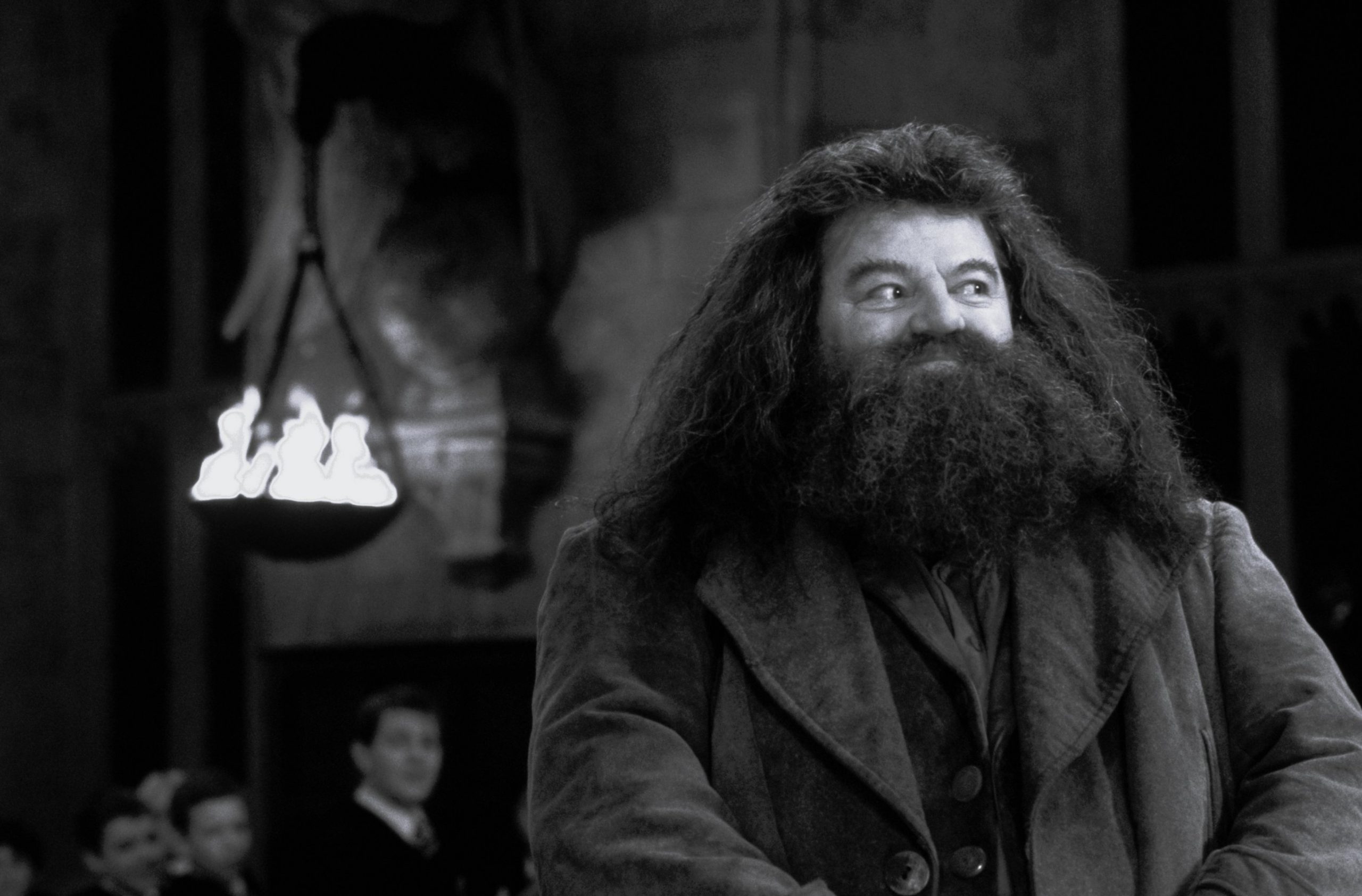 Rubeus Hagrid