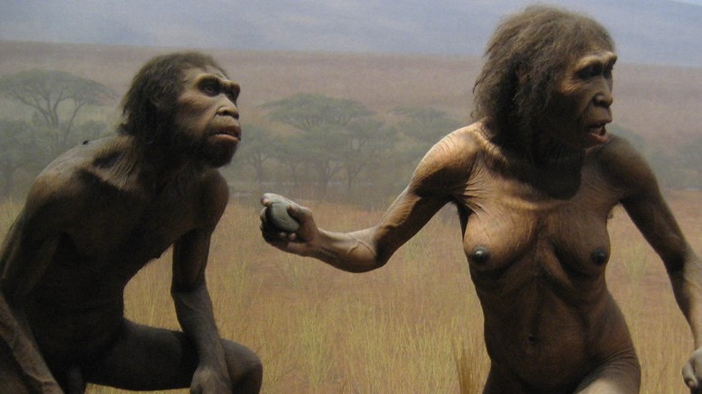 Early humans