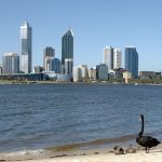 NRL debutants Perth build their roster with new English signing