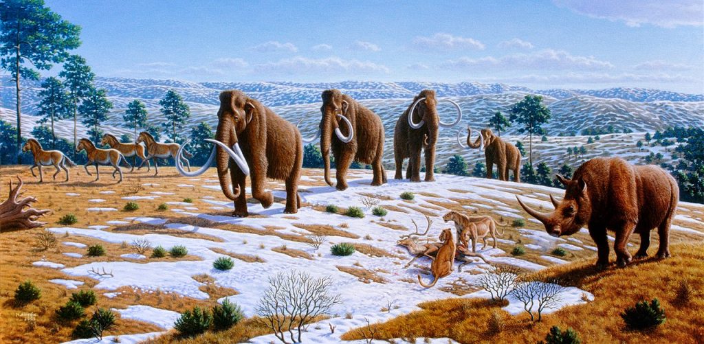 Artist Mauricio Antón's depiction of the Woolly Mammoth and other ice age fauna of northern Spain.