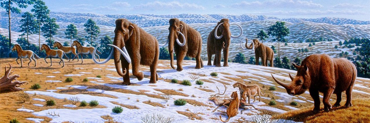 Artist Mauricio Antón's depiction of the Woolly Mammoth and other ice age fauna of northern Spain.