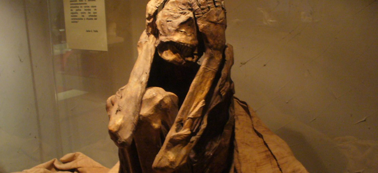 A Peruvian mummy on display in a museum