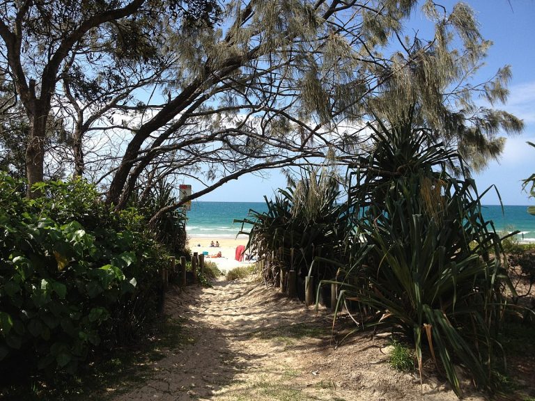 An 87-year-old man has died after being attacked in Noosa Heads.
