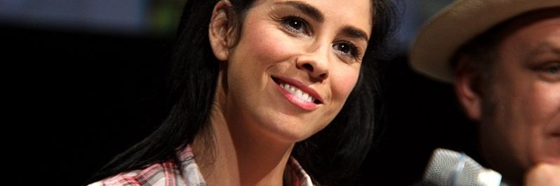 Sarah Silverman, US comedian and one of three authors suing OpenAI, the maker of ChatGPT, and Meta.