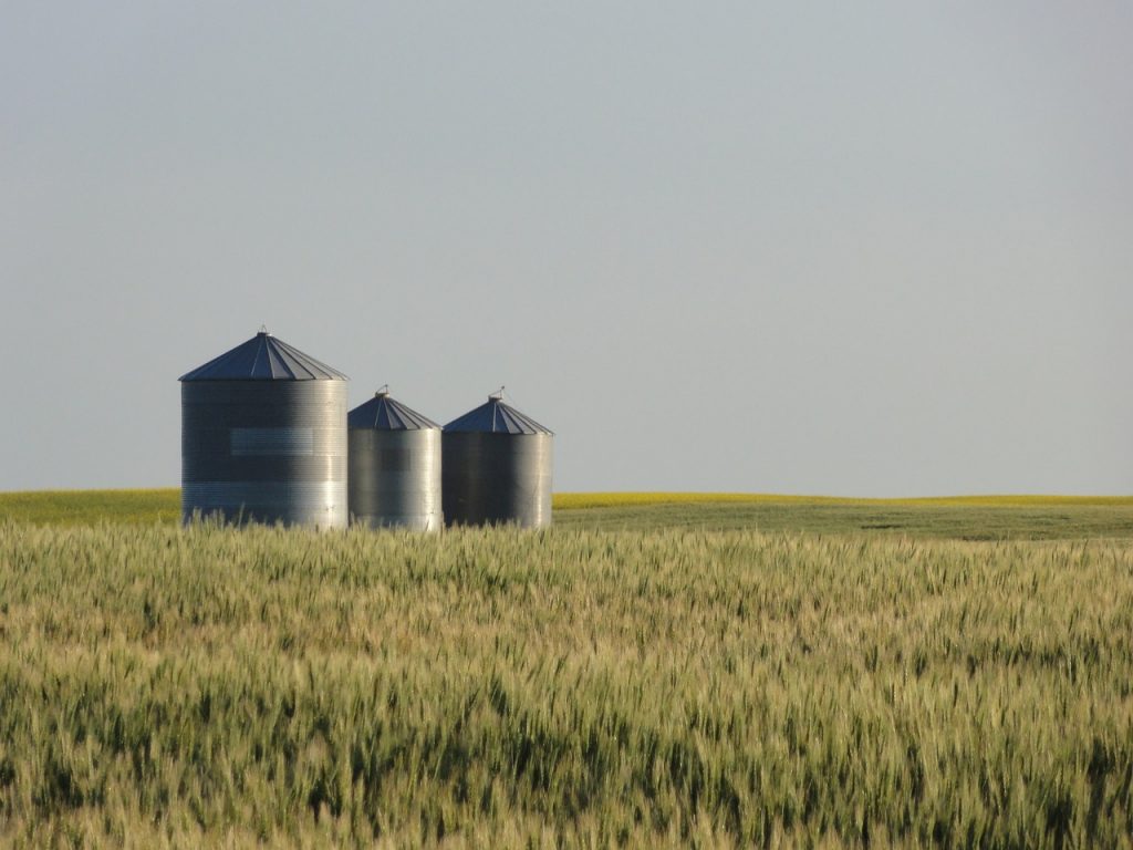 A grain farmer was charged $92,500 for sending a 'thumbs up' emoji via text