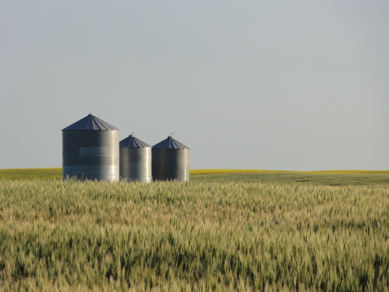 A grain farmer was charged $92,500 for sending a 'thumbs up' emoji via text