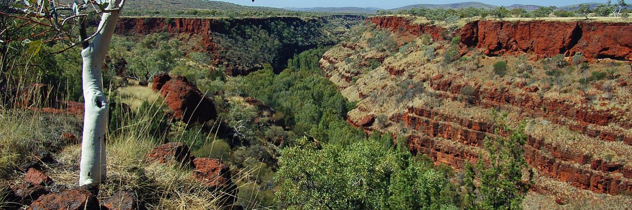 Dales Gorge, Karinji National Park, in the Pilbara Region of Western Australia.