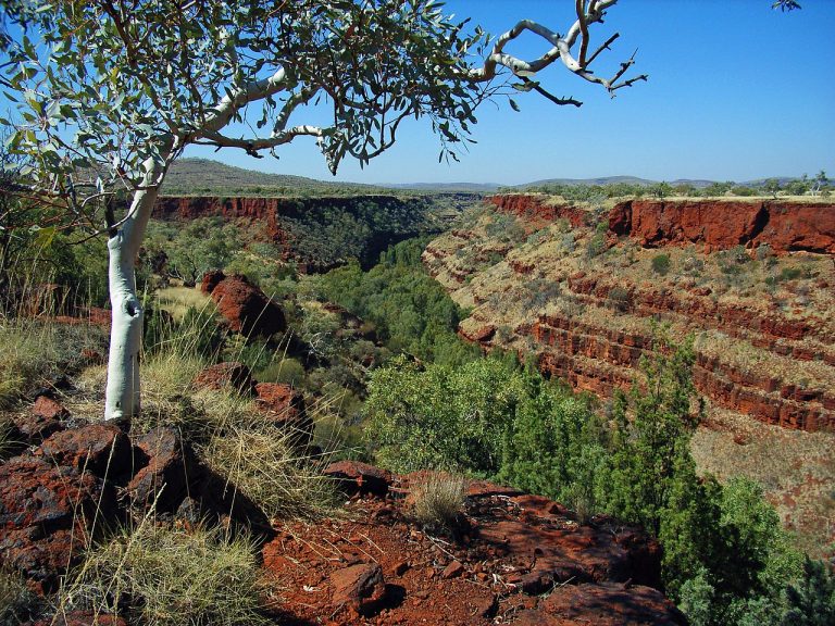 Dales Gorge, Karinji National Park, in the Pilbara Region of Western Australia.