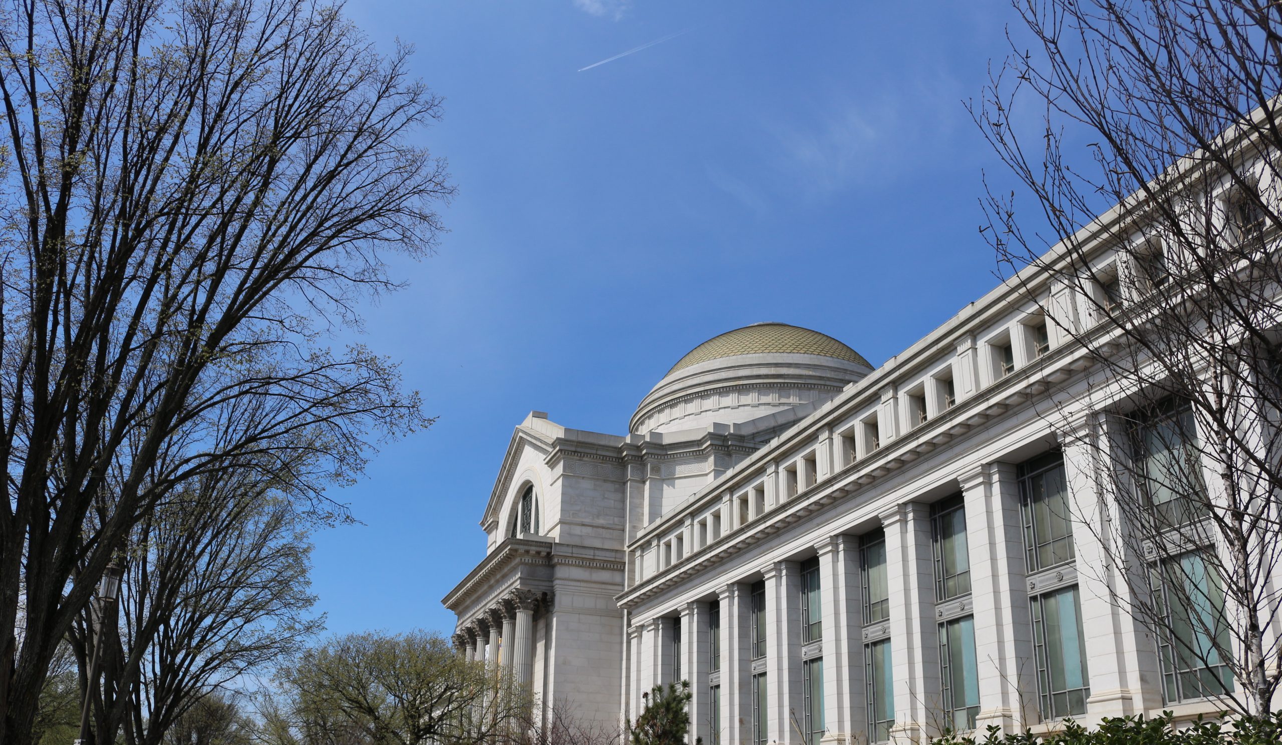 Smithsonian Museum of National History in Washington DC.