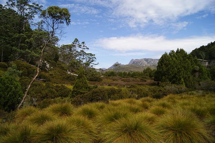 UN removes false information claiming that Tasmanian Indigenous people are 'extinct.'