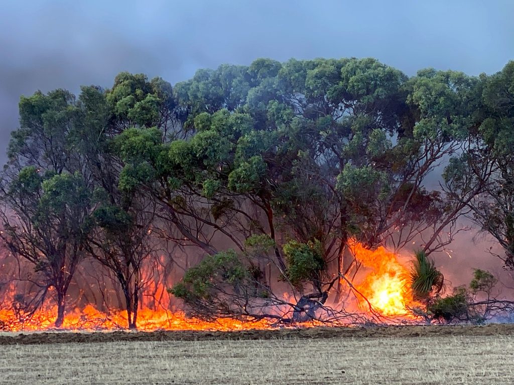 Bushfires raged across Queensland over the weekend.