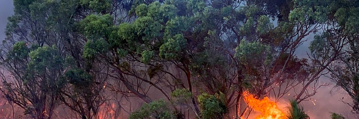 Bushfires raged across Queensland over the weekend.