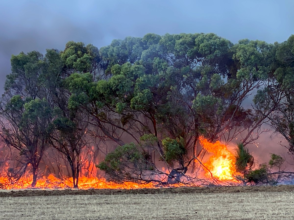 Bushfires raged across Queensland over the weekend.