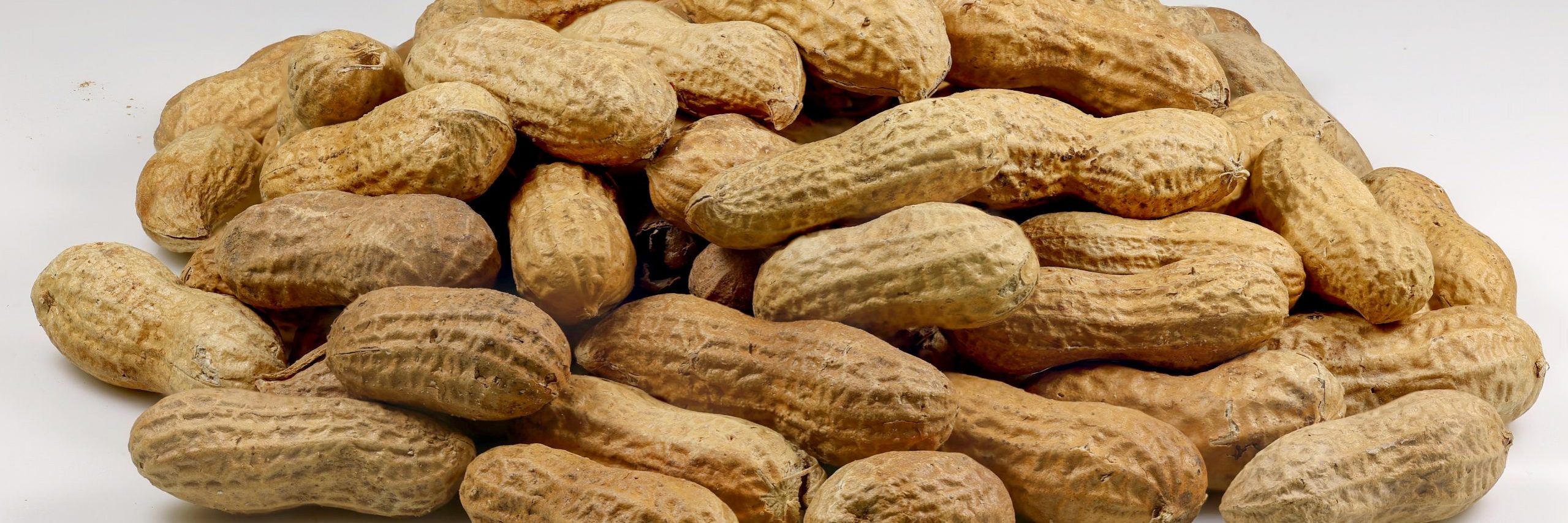 By studying children with peanut allergies, researchers have found that a genetic biomarker may be able to help predict severe food allergy reactions