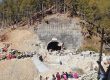 2023 Uttarakhand tunnel collapse