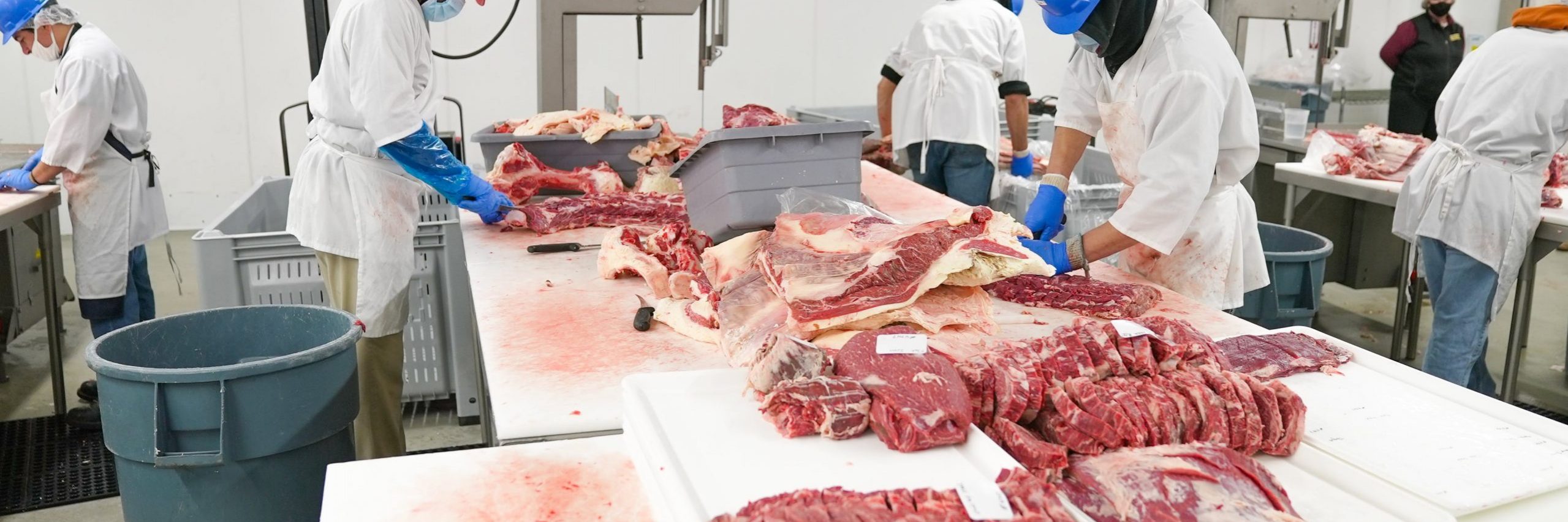 Operations of a meat processing plant