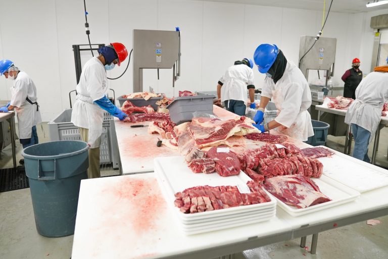 Operations of a meat processing plant