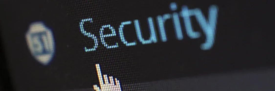 Mouse cursor over the word "security" on a computer monitor