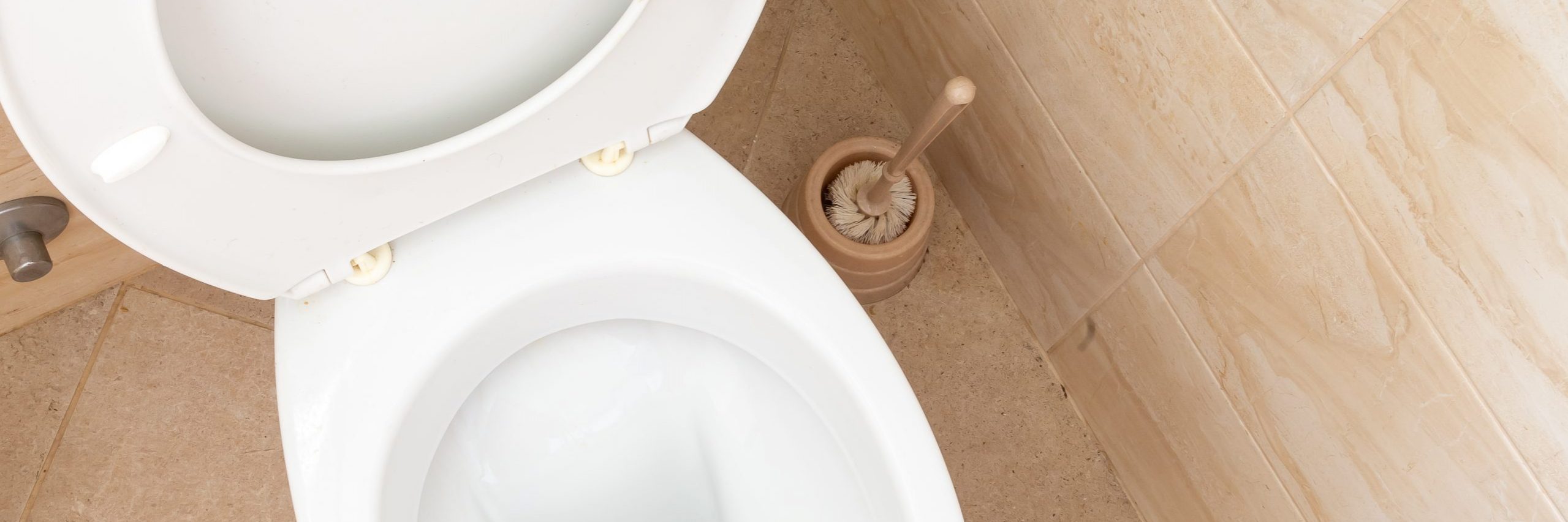 Toilet bowl with plunger beside it