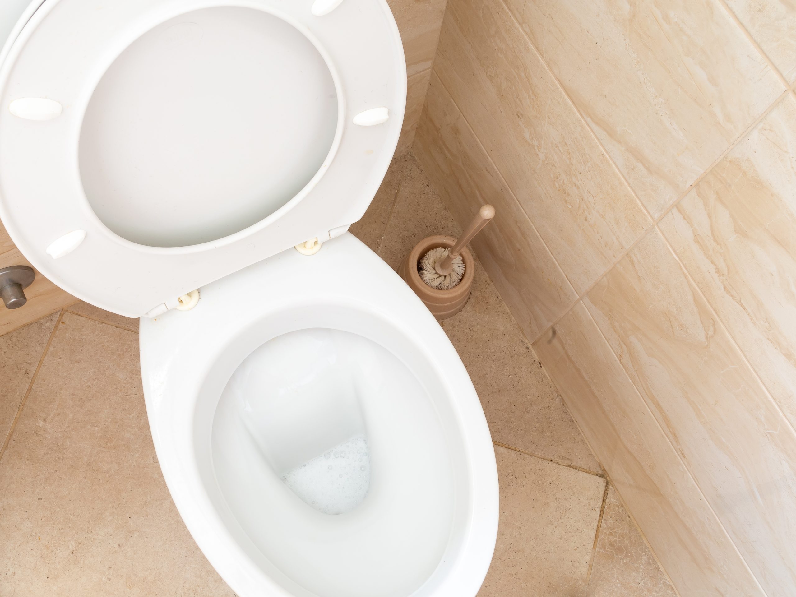 Toilet bowl with plunger beside it