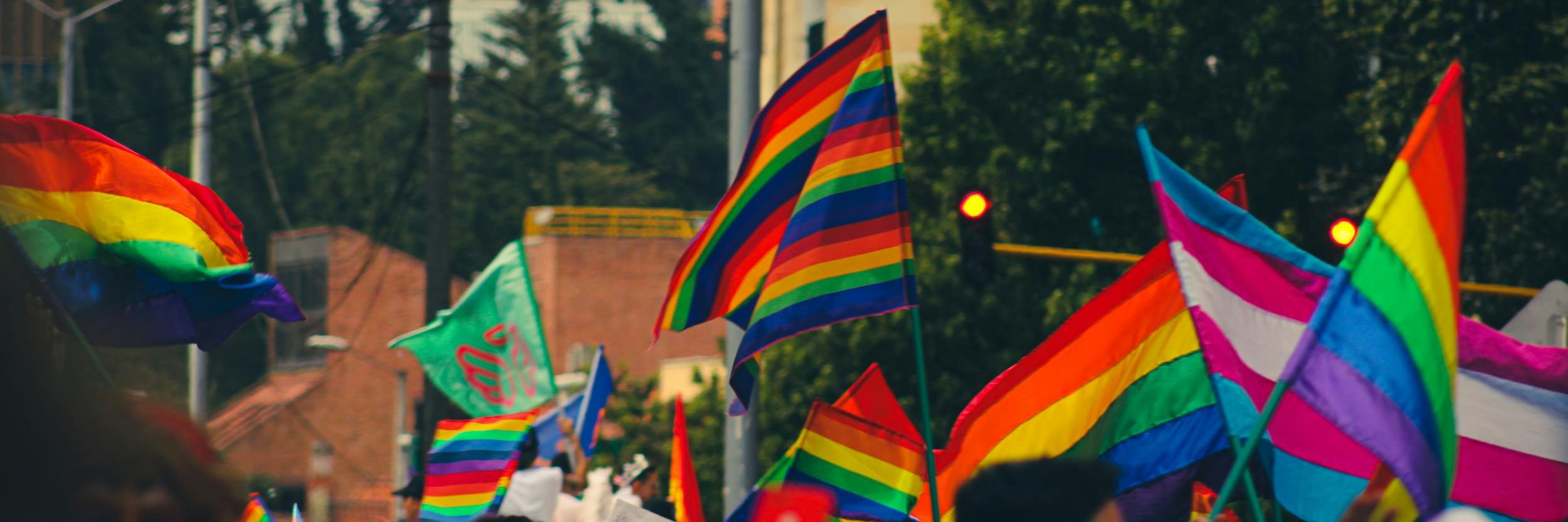 A crowd of people holding a variety of flags that support the LGBTQ+ community
