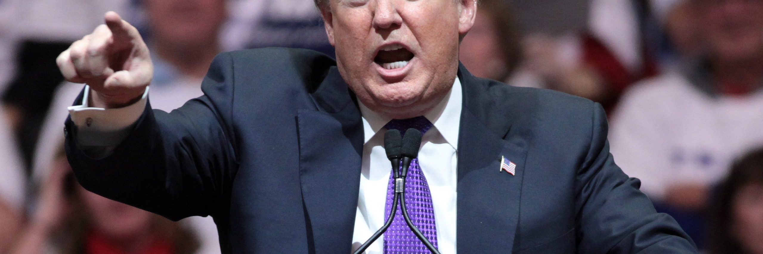 An image of Donald Trump, former U.S President, speaking to voters. Image source: Gage Skidmore, via Wikimedia Commons