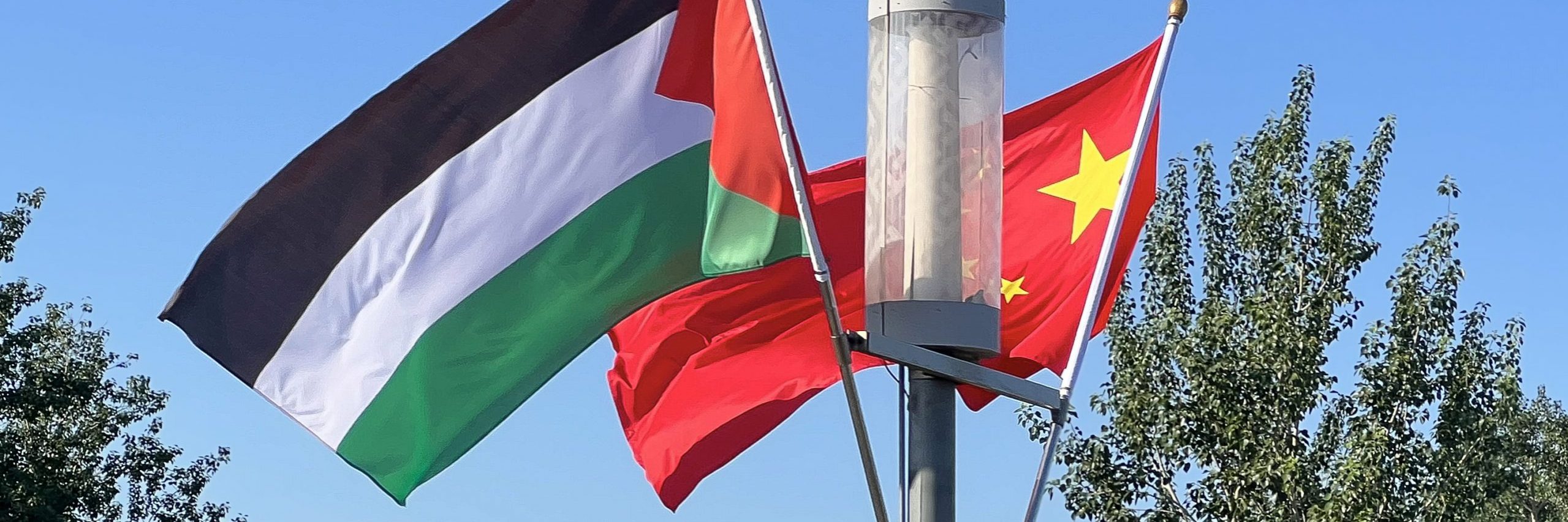 Palestinian and Chinese flags.