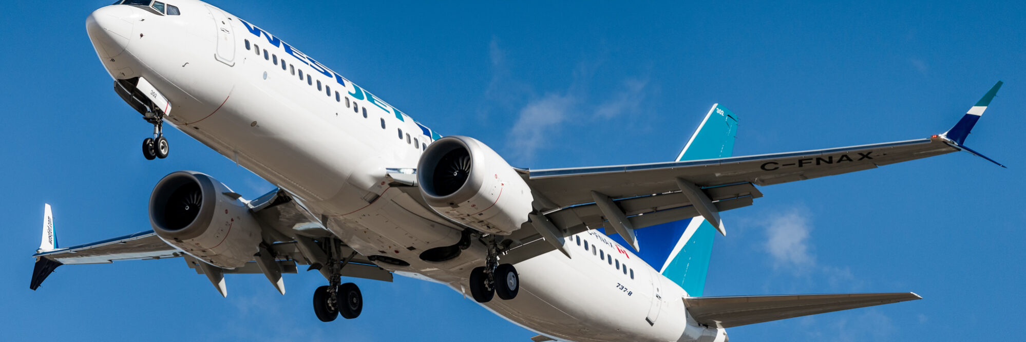 An image of a boeing 737 MAX in a blue sky. The plane is white with a blue tail. The company branding is obscured. Image source: AceYYC, via: Wikimedia Commons