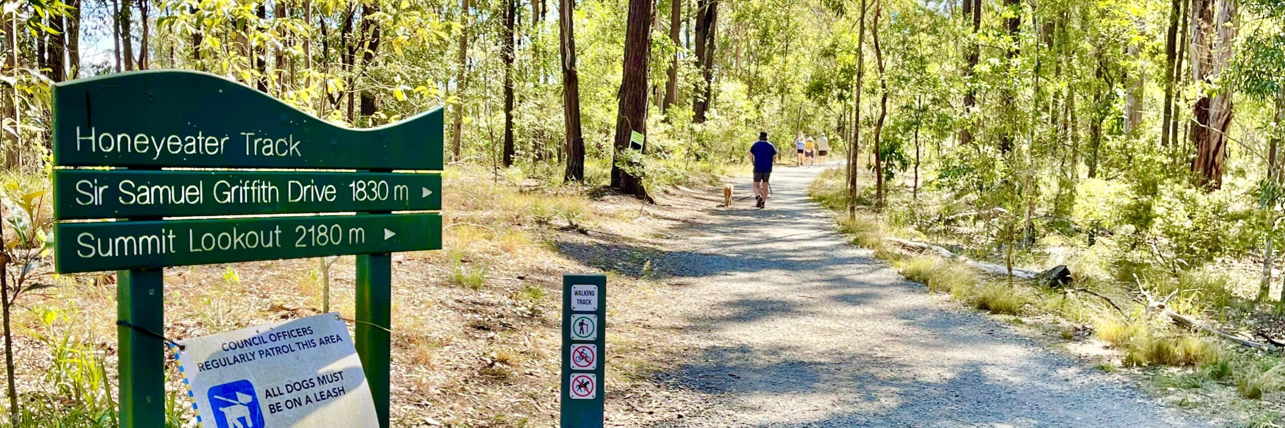 Mt Coot-tha trails