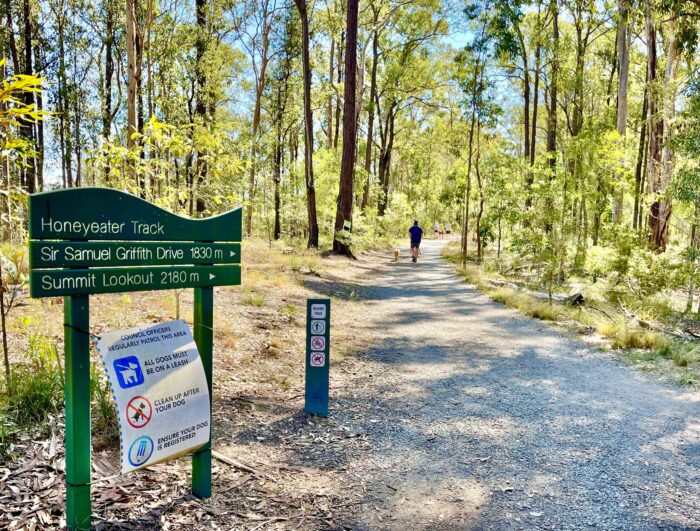 Mt Coot-tha trails