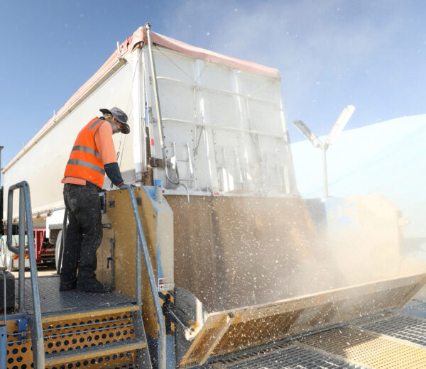 Grain harvest 2019