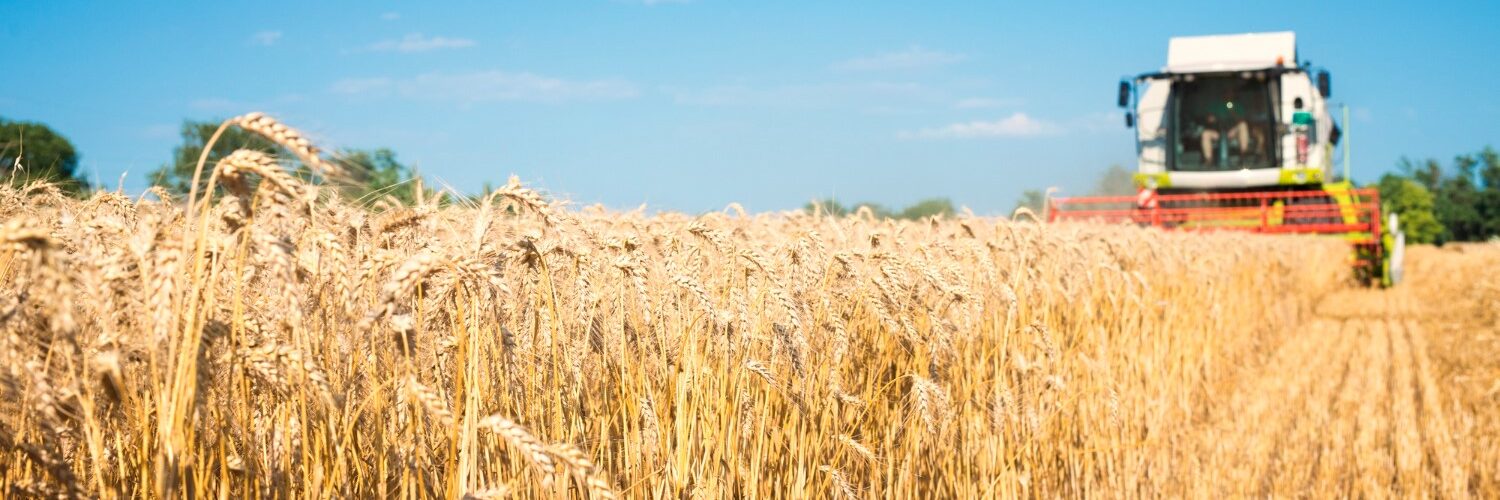 WA grains harvest