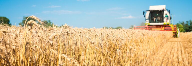 WA grains harvest