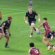 Qld Super Rugby