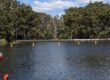 Lake Parramatta