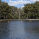 Lake Parramatta