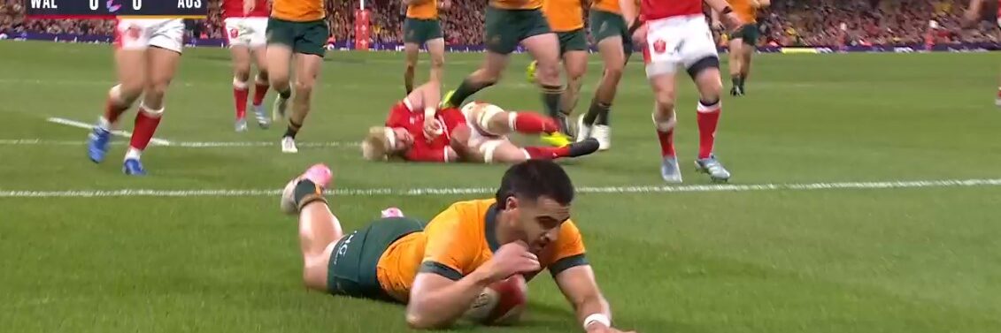 wallabies wales