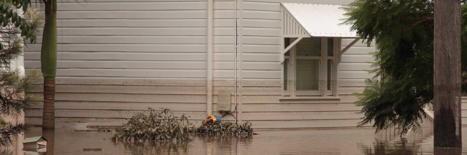 climate disaster COP29