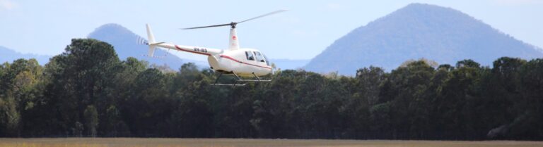 Vic timber helicopters