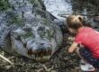 pets crocodiles