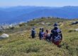 NSW hiker alpine