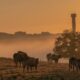 Tasmania farms